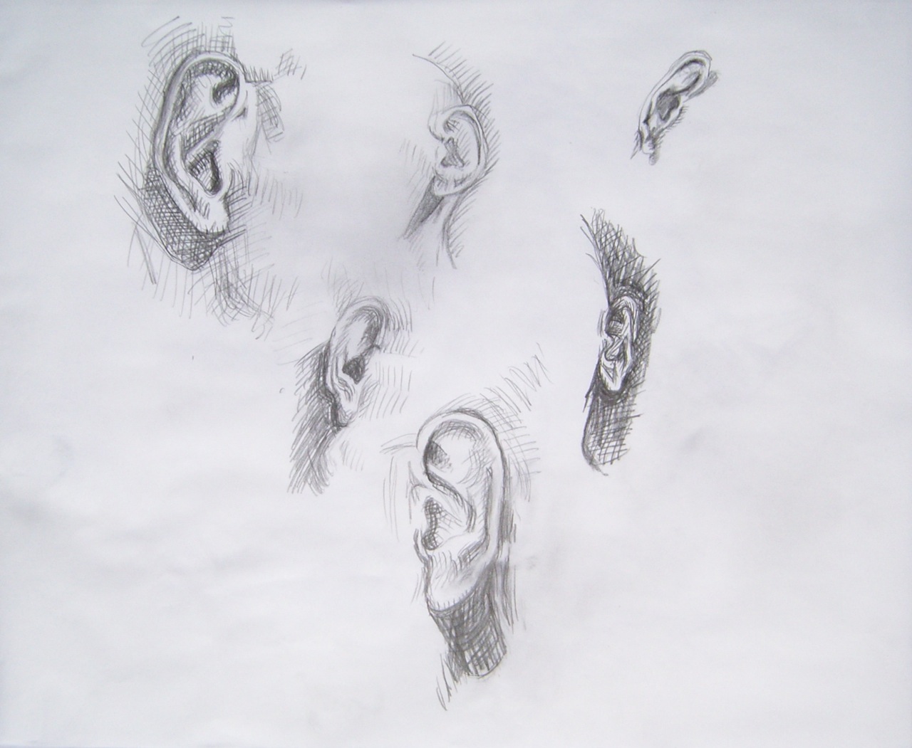 Ear Sketch